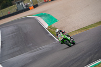 Lower Group Green Bikes